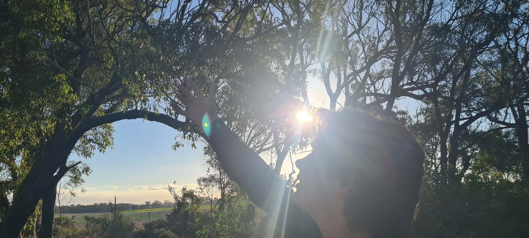 shine